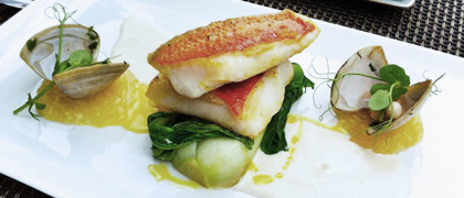 Grilled perch